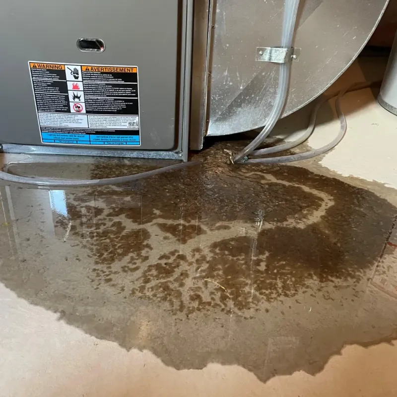 Appliance Leak Cleanup in Yorkshire, VA